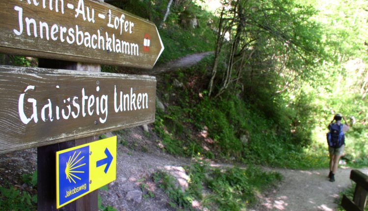 Hölzerne Wegweiser und ein gelber Pfeil weisen einem Pilgernden Wanderer den Weg über einen ruhigen Waldweg.
