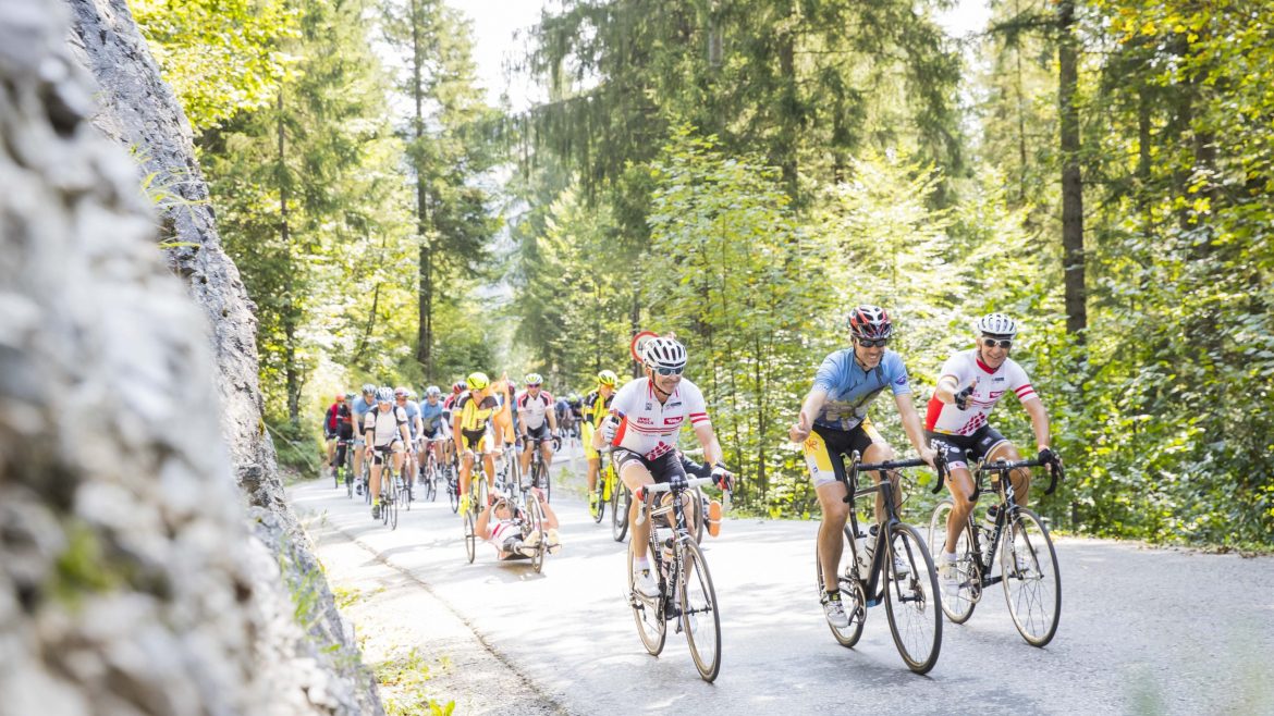 Radfahrer fahren in einer Gruppe an einem hellen, sonnigen Tag auf einer bewaldeten Straße.