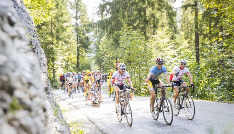 Radfahrer fahren in einer Gruppe an einem hellen, sonnigen Tag auf einer bewaldeten Straße.