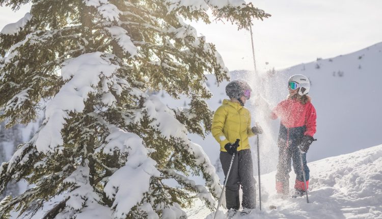 Zwei Skifahrer in bunten Jacken stehen unter einem verschneiten Baum an einem sonnigen, verschneiten Berghang.