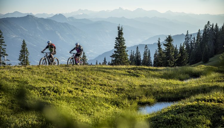 Zwei Radfahrer fahren mit ihren Mountainbikes auf einem grasbewachsenen Hügel mit Bäumen und entfernten Bergketten im Hintergrund.