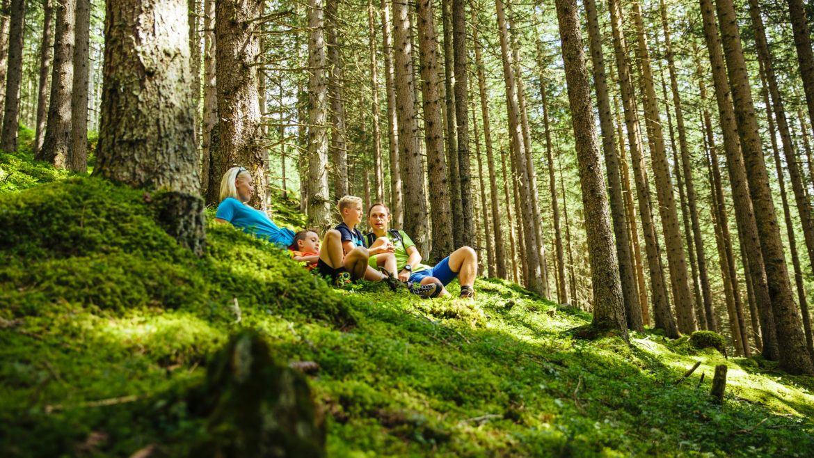 Vier Personen sitzen auf einem moosbewachsenen Hügel in einem dichten, sonnenbeschienenen Wald, der von hohen Bäumen umgeben ist, und entspannen sich.
