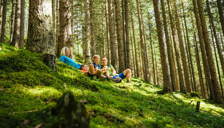Vier Personen sitzen auf einem moosbewachsenen Hügel in einem dichten, sonnenbeschienenen Wald, der von hohen Bäumen umgeben ist, und entspannen sich.