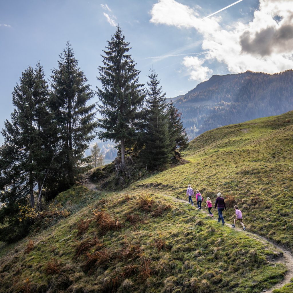 Eine Gruppe von Menschen wandert an einem sonnigen Tag einen grasbewachsenen, gewundenen Pfad durch Hügel und Kiefern hinauf.