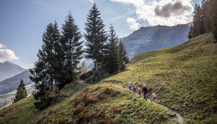 Eine Gruppe von Menschen wandert an einem sonnigen Tag einen grasbewachsenen, gewundenen Pfad durch Hügel und Kiefern hinauf.