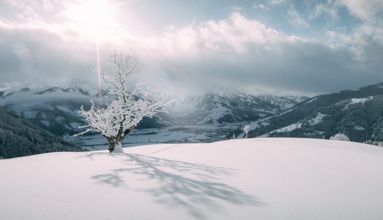 Ein einzelner Baum wirft einen Schatten auf einen verschneiten Hügel, während im Hintergrund die Berge und die Sonne durch die Wolken scheinen.