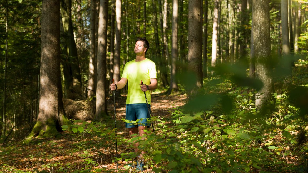 Mann in heller Sportkleidung geht mit Stöcken in einem sonnenbeschienenen Wald spazieren, umgeben von grünen Bäumen und Laub.
