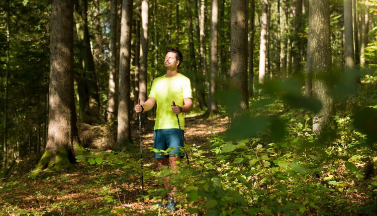Mann in heller Sportkleidung geht mit Stöcken in einem sonnenbeschienenen Wald spazieren, umgeben von grünen Bäumen und Laub.
