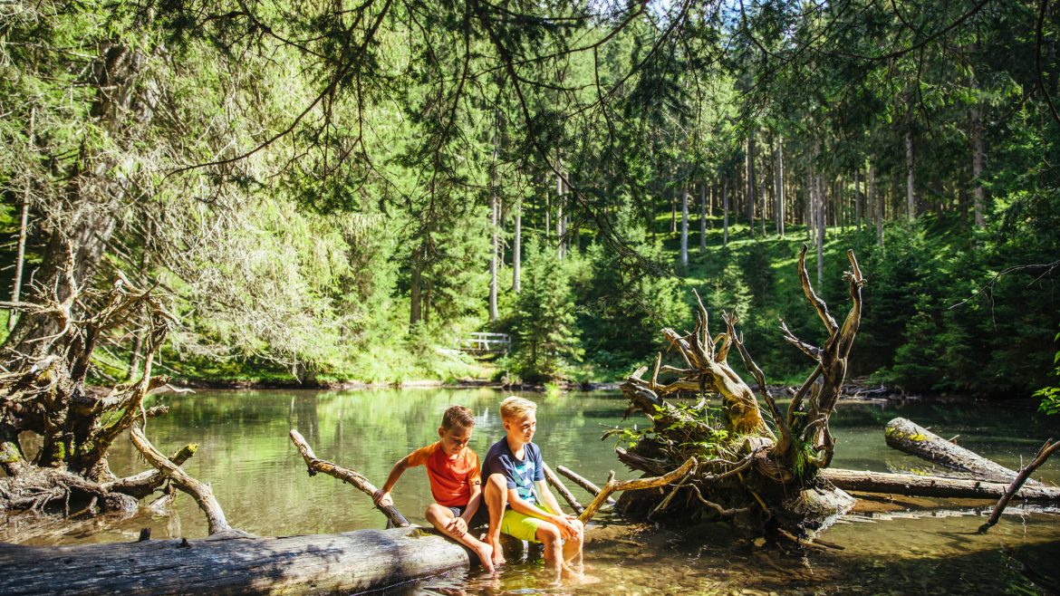 Zwei Kinder sitzen auf einem umgestürzten Baumstamm an einem klaren Waldbach und tauchen an einem sonnigen Tag ihre Füße ins Wasser.