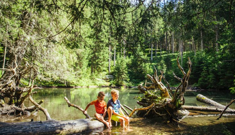 Zwei Kinder sitzen auf einem umgestürzten Baumstamm an einem klaren Waldbach und tauchen an einem sonnigen Tag ihre Füße ins Wasser.