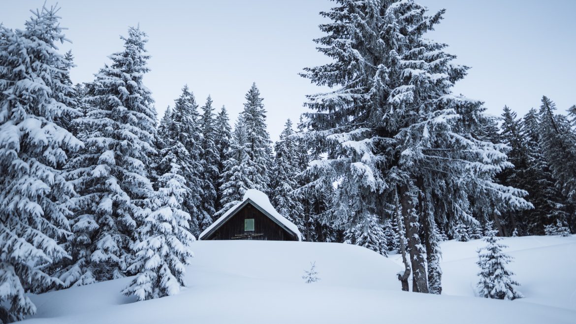 Eine kleine Hütte umgeben von schneebedeckten Bäumen in einer winterlichen Waldlandschaft unter einem blassen Himmel.