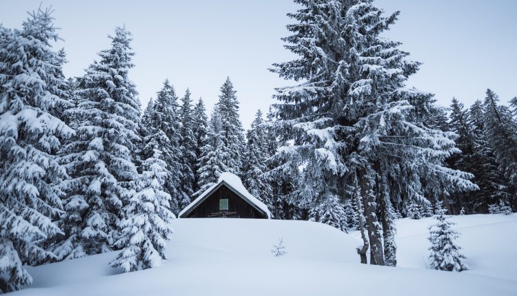 Eine kleine Hütte umgeben von schneebedeckten Bäumen in einer winterlichen Waldlandschaft unter einem blassen Himmel.