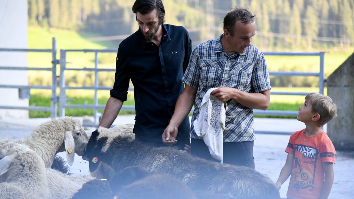 Zwei Männer und ein Junge stehen zwischen Schafen im Freien, mit Bäumen und einem Zaun im Hintergrund.