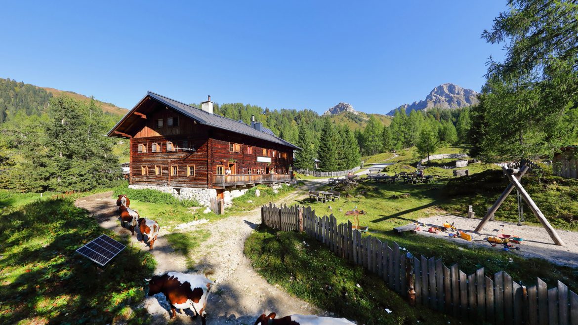 Eine hölzerne Almsommerhüttenwahl-Hütte mit grasenden Kühen, Spielplatz und bewaldeten Hügeln unter einem klaren blauen Himmel.