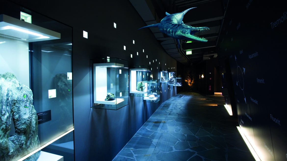 Schummerig beleuchteter Museumsflur mit Glasvitrinen mit Steinen und einem großen Modell eines Meeresreptils, das von der Decke hängt.