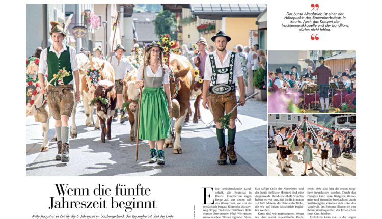 Menschen in traditioneller österreichischer Kleidung führen geschmückte Kühe während eines Festumzugs in Deutschland durch eine Straße.
