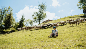 Eine Person sitzt auf einem grasbewachsenen Hügel, während in der Nähe eine Schafherde weidet, mit Bäumen und blauem Himmel im Hintergrund.