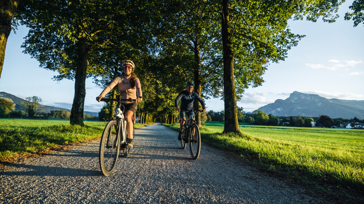 Zwei Personen fahren mit dem Fahrrad auf einem von Bäumen gesäumten Weg auf dem Lande mit Bergen im Hintergrund.