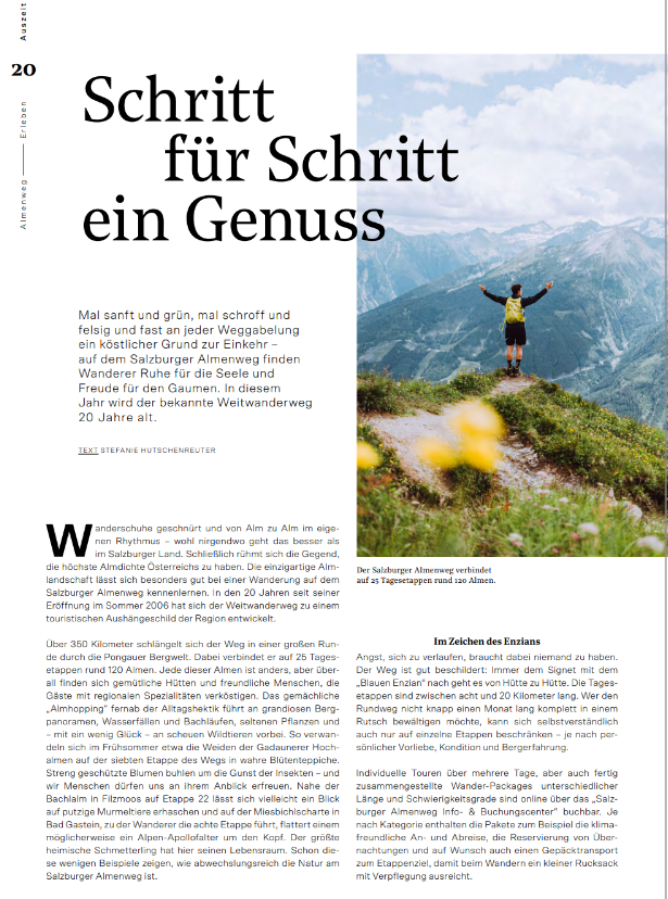 Wanderer wandert auf einem Pfad durch grüne Almwiesen mit Bergen im Hintergrund unter einem bewölkten Himmel.