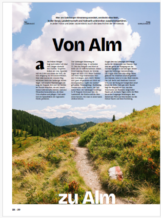 Bergpfad durch grasbewachsene Hügel unter blauem Himmel, mit Bäumen und Bergen im Hintergrund.