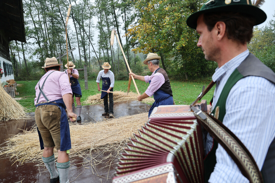 Vier Männer in traditioneller österreichischer Tracht dreschen Getreide mit Dreschflegeln, während ein fünfter Mann Akkordeon spielt.