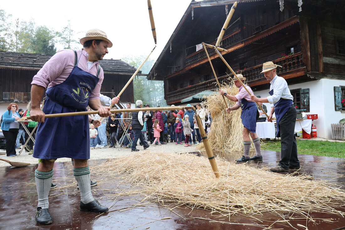 Drei Männer in traditioneller österreichischer Tracht dreschen vor einer Menschenmenge und einem Holzhaus mit Dreschflegeln Weizen.